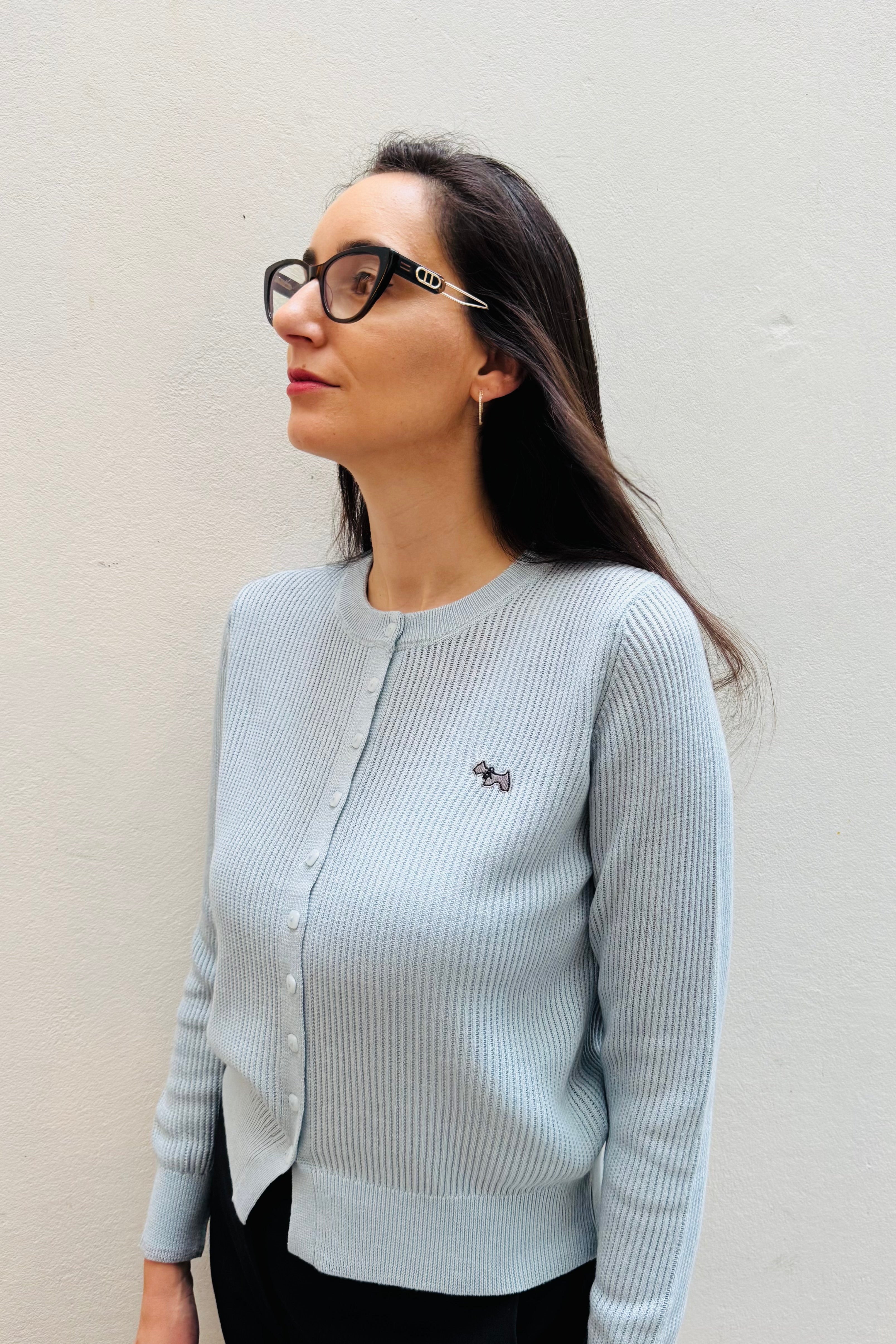 קרדיגן בסיס וקישוט