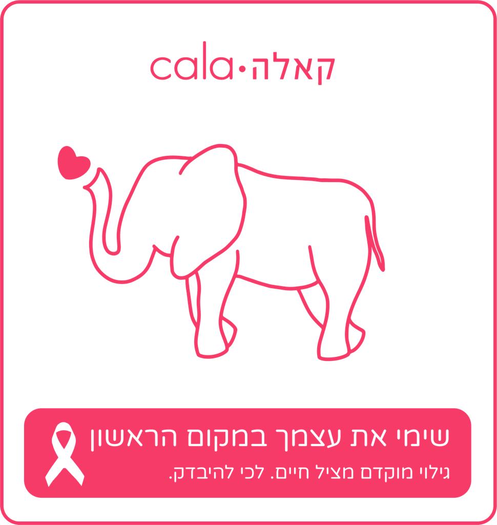 תיק בד פילפילון - חודש המודעות לסרטן השד